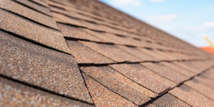 roof-blistering-assessing-asphalt-shingle